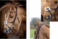 LeMieux Grackle Bridle